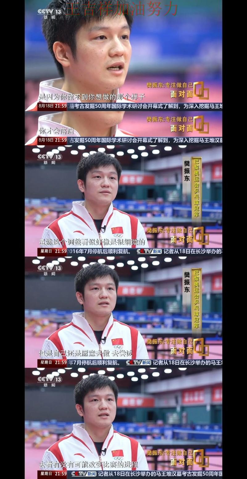 樊振东最新动态引发关注 赛后分析指出关键问题 樊振东最新动态引发关注 赛后分析指出关键问题