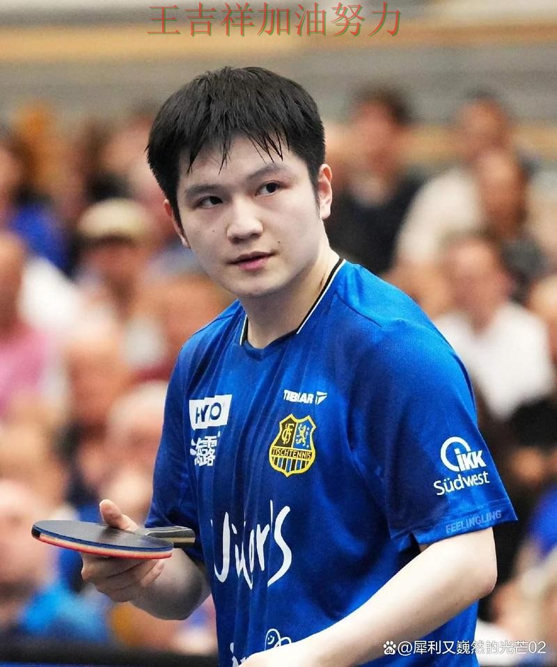 樊振东最新动态引发关注 赛后分析指出关键问题 樊振东最新动态引发关注 赛后分析指出关键问题